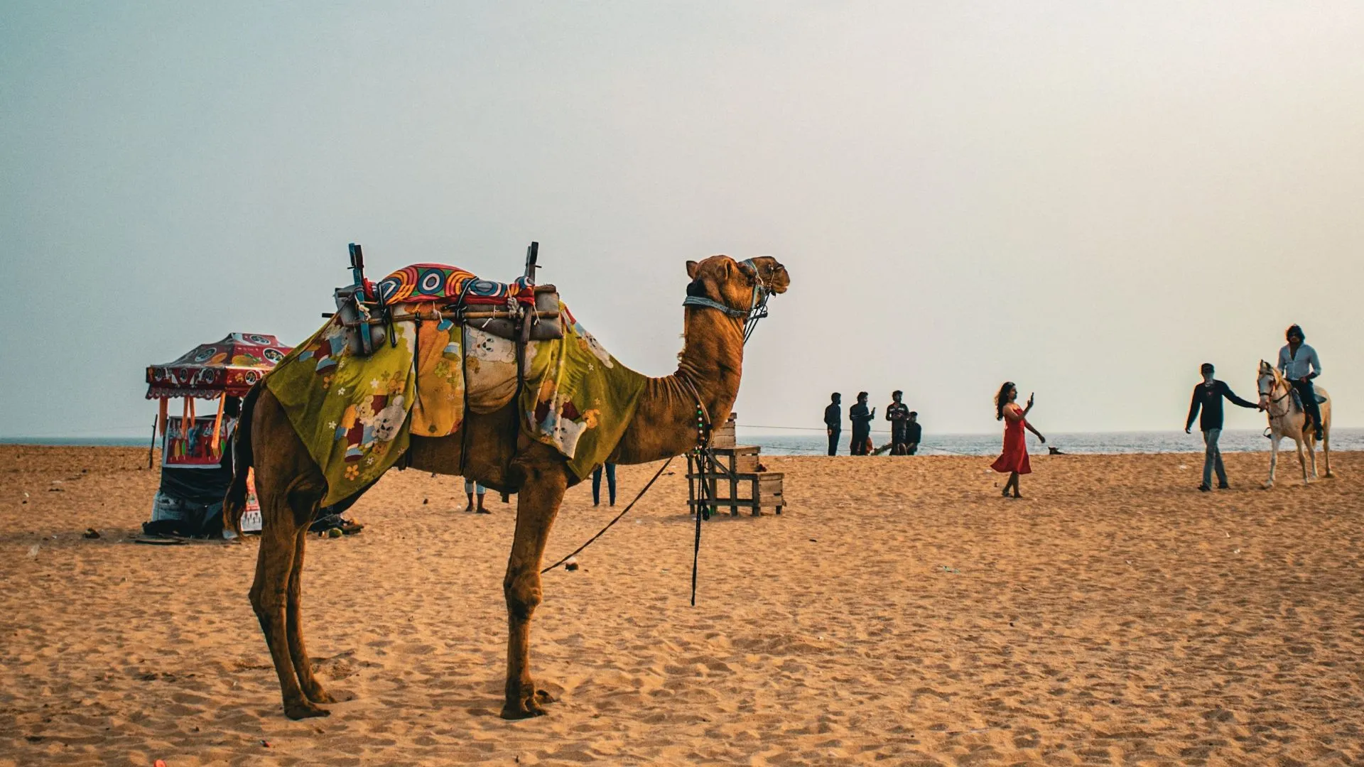 Mandvi Beach (Kutch, Gujarat): Complete Travel Guide, History & Photos - Photo 4