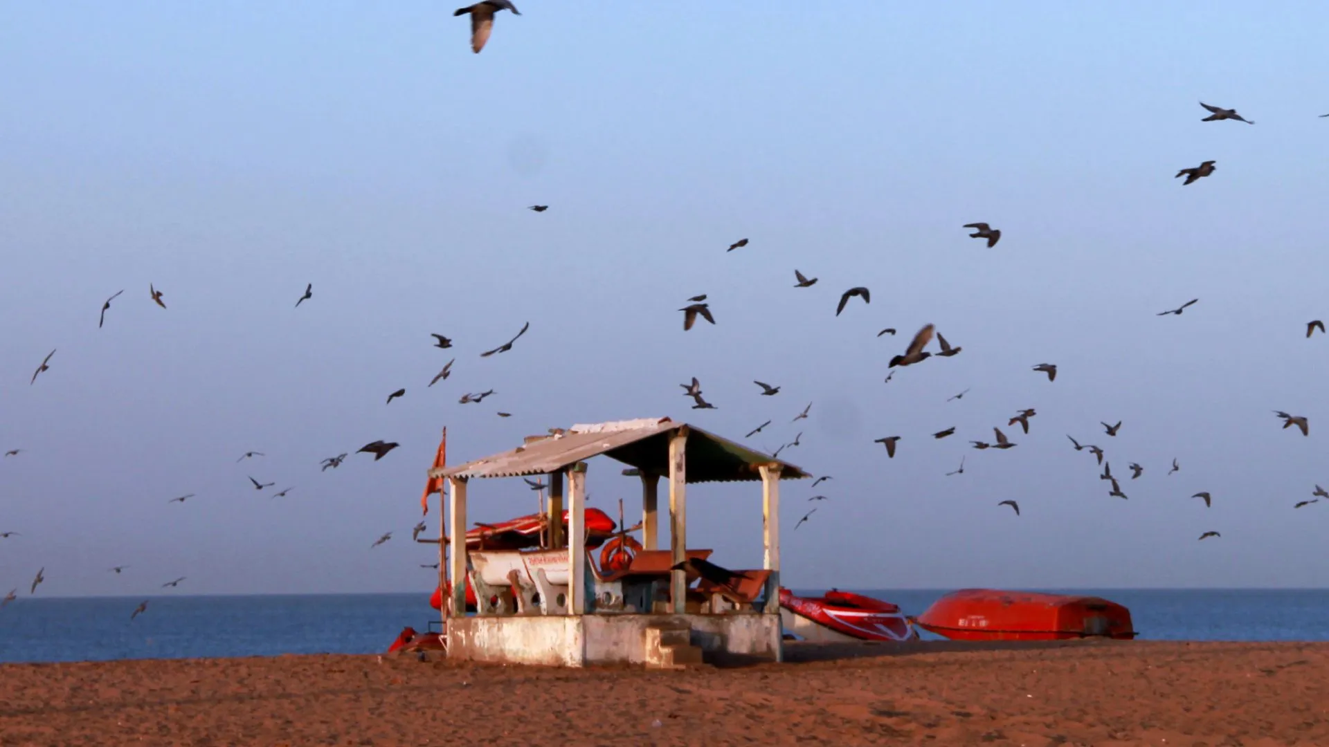 Mandvi Beach (Kutch, Gujarat): Complete Travel Guide, History & Photos - Photo 5
