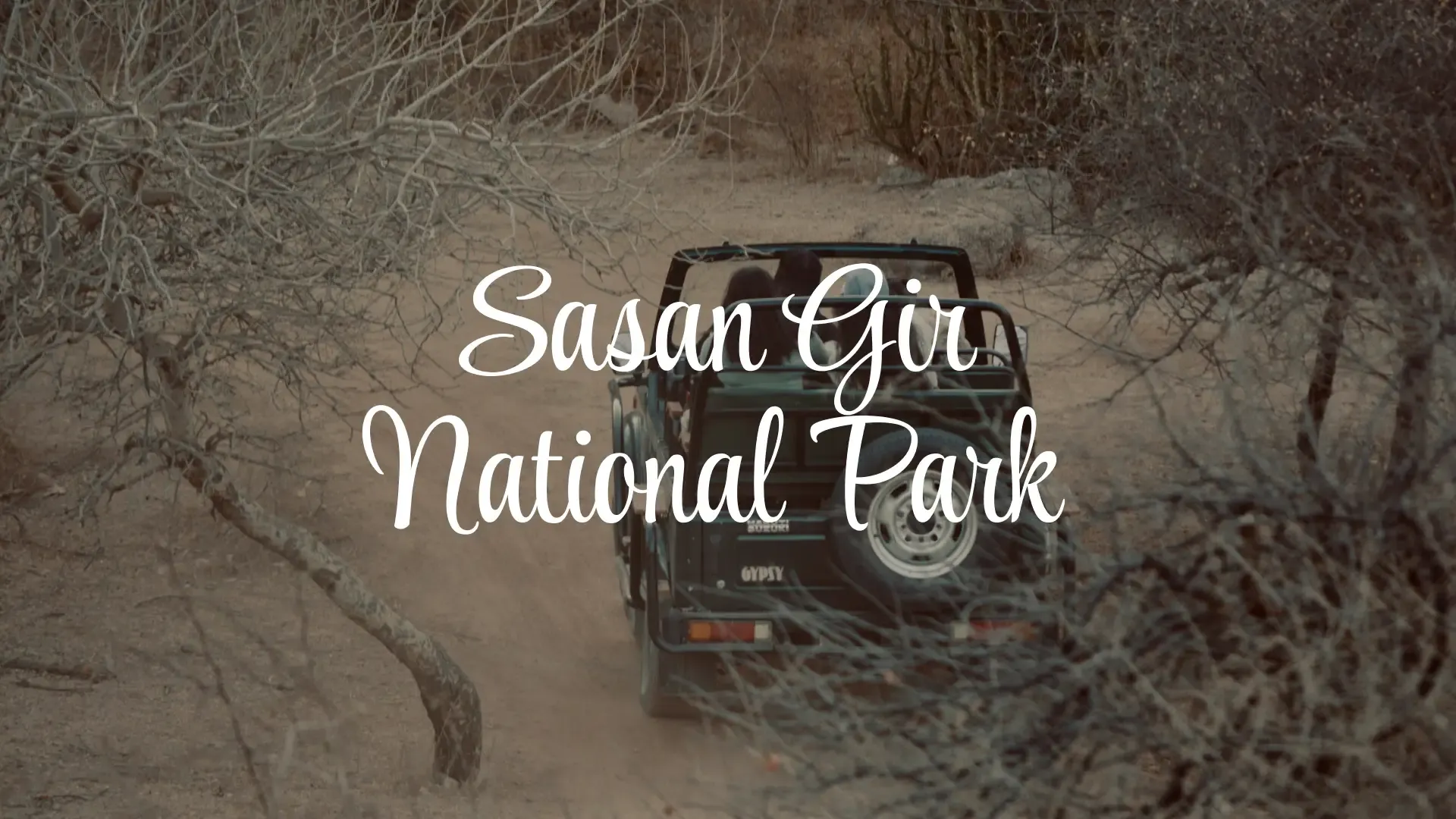 Sasan Gir National Park (Gir Somnath, Gujarat): Complete Travel Guide, History & Photos