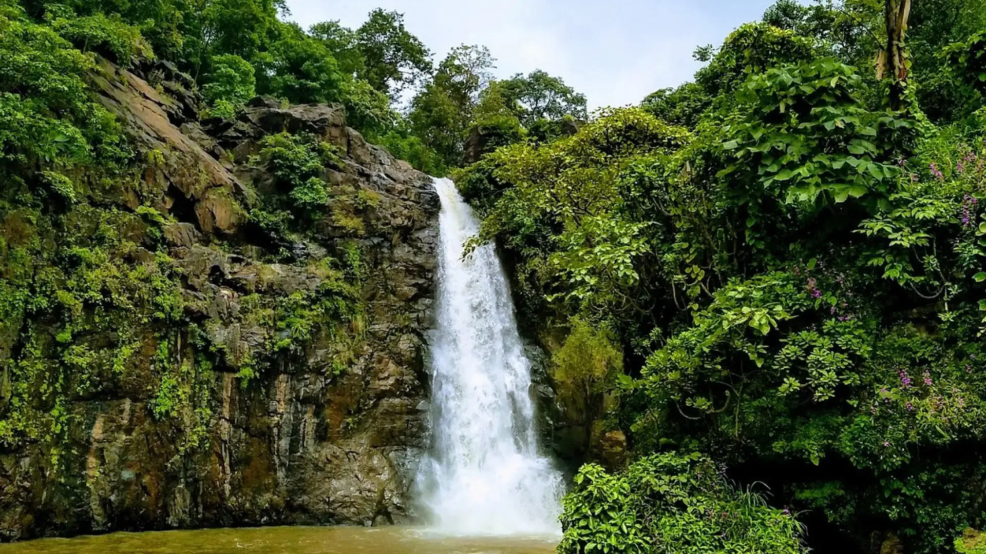 Ninai Waterfall Dediapada: Shoolpaneshwar Forest & Travel Guide - Photo 3