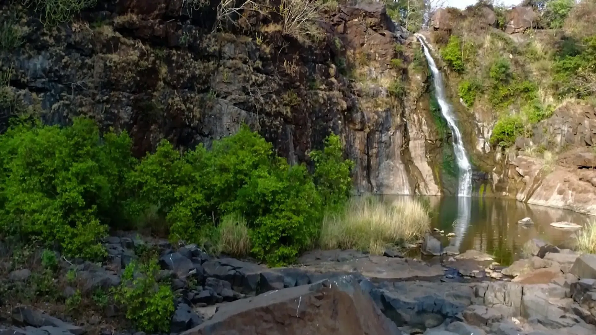 Ninai Waterfall Dediapada: Shoolpaneshwar Forest & Travel Guide - Photo 4