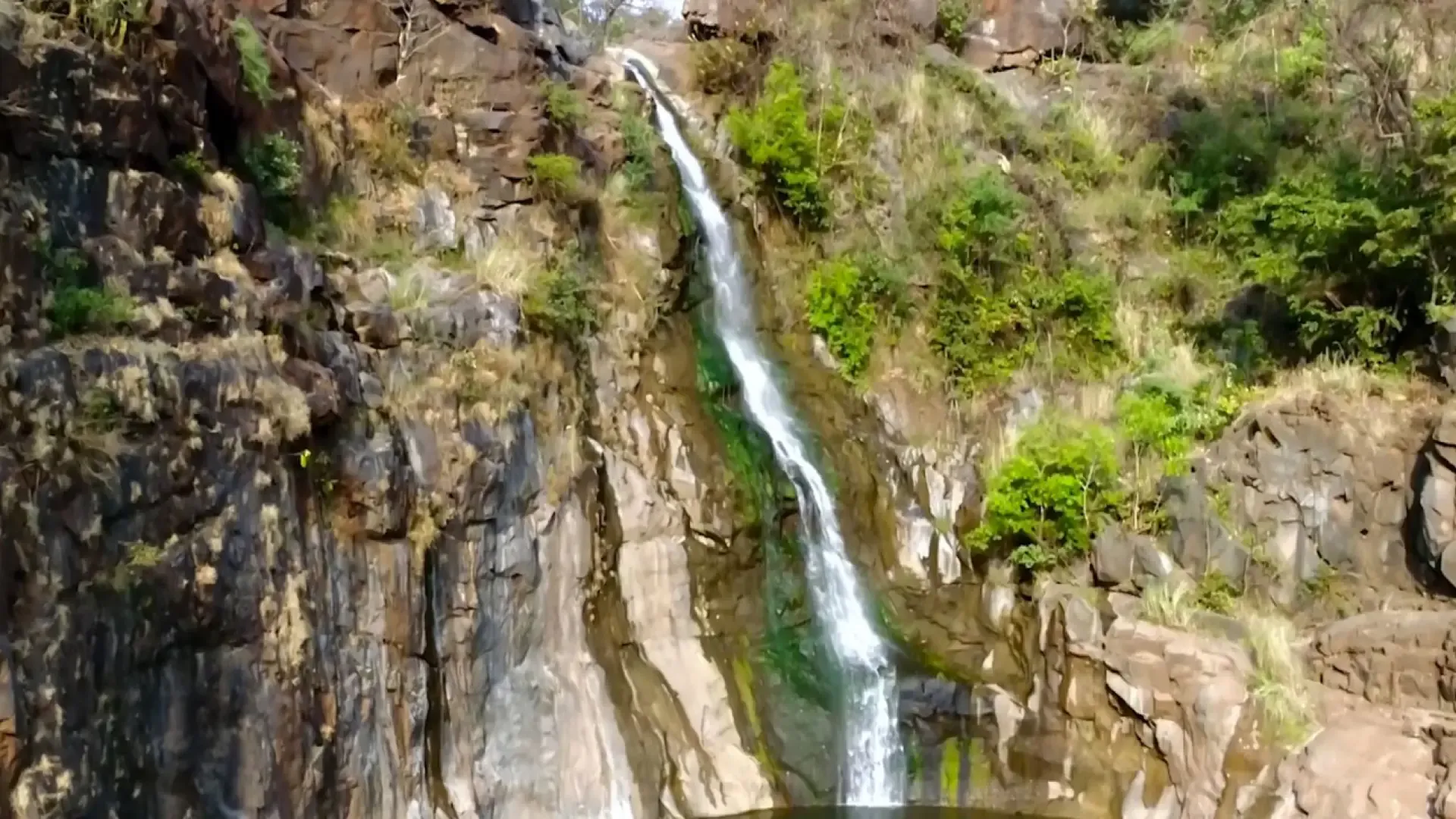 Ninai Waterfall Dediapada: Shoolpaneshwar Forest & Travel Guide - Photo 5